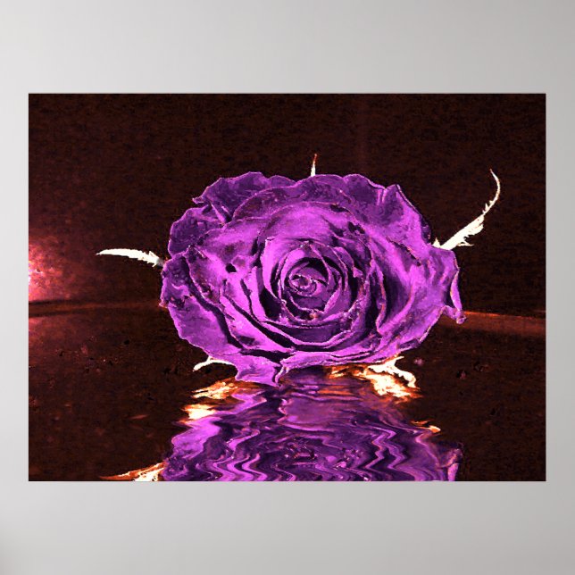 Purple velvet Rose Poster (Front)