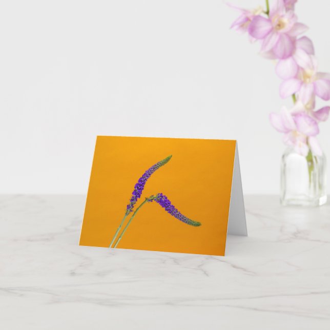 Purple Veronicas Greeting Card (Orchid)