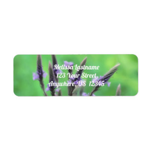 Purple Vervain Wildflower Painting Address Label