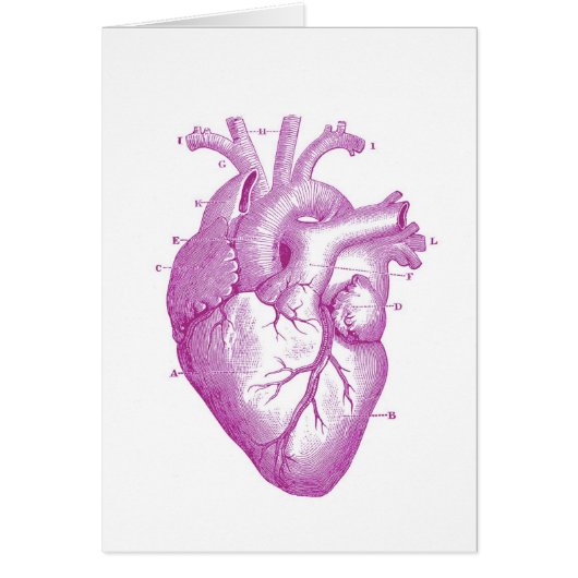 Purple Vintage Heart Anatomy (Front)