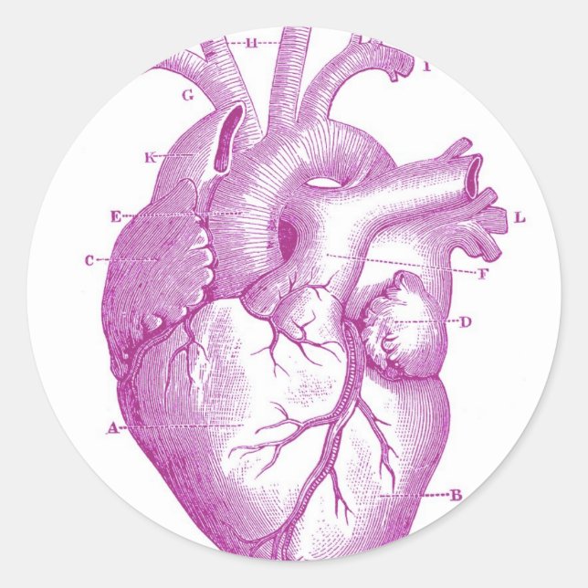 Purple Vintage Heart Anatomy Classic Round Sticker (Front)