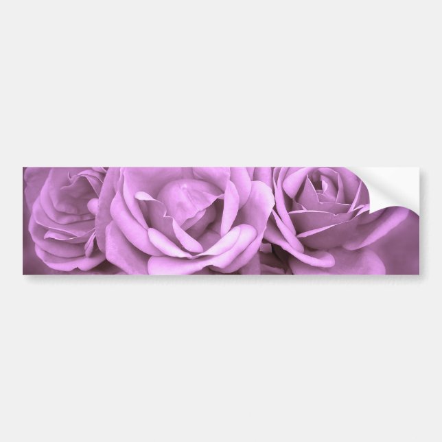 Purple Vintage Roses Bumper Sticker (Front)
