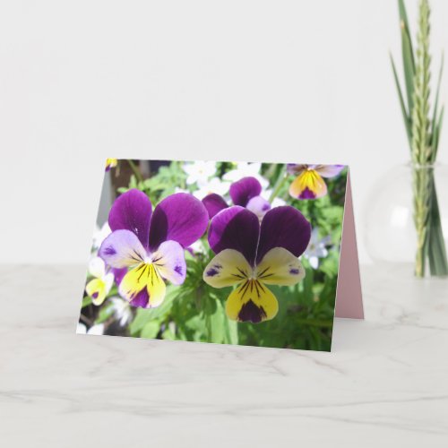 Purple Viola Pansy Pretty Flower floral Card