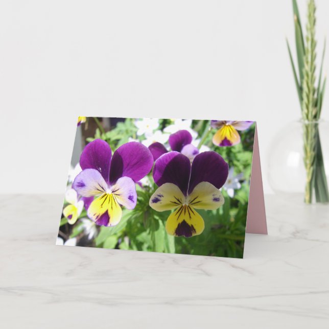 Purple Viola Pansy Pretty Flower floral Card (Front)