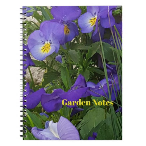 Purple Violas In A Garden Container Notebook