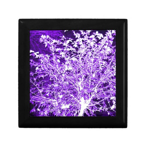 Purple Violet Abstract Tree Branches Gift Box