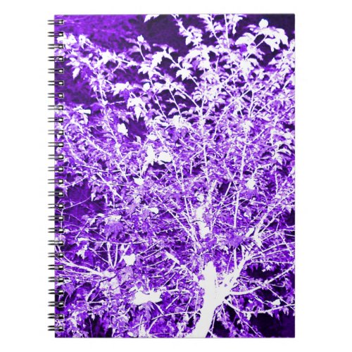 Purple Violet Abstract Tree Branches Notebook