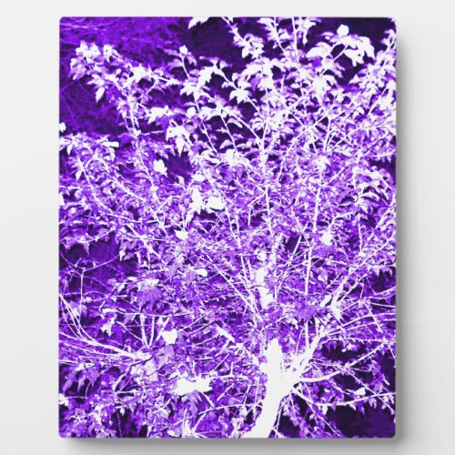 Purple Violet Abstract Tree Branches Plaque