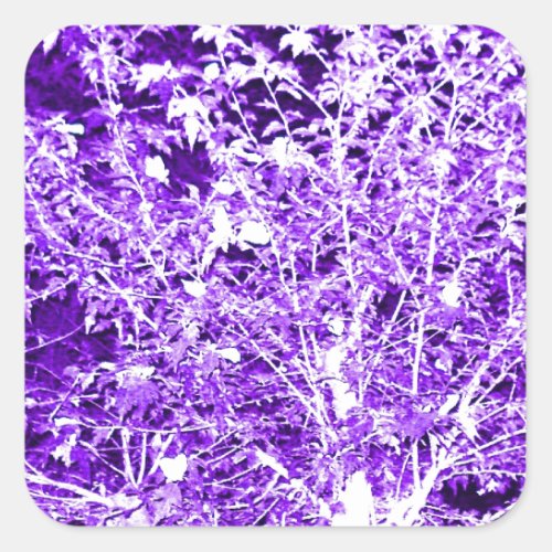 Purple Violet Abstract Tree Branches Square Sticker