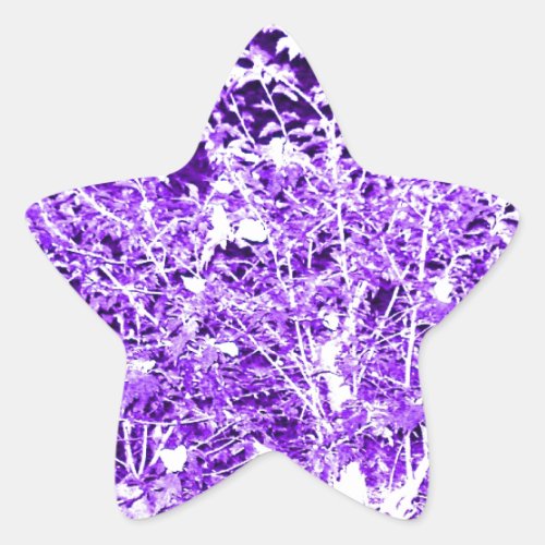 Purple Violet Abstract Tree Branches Star Sticker