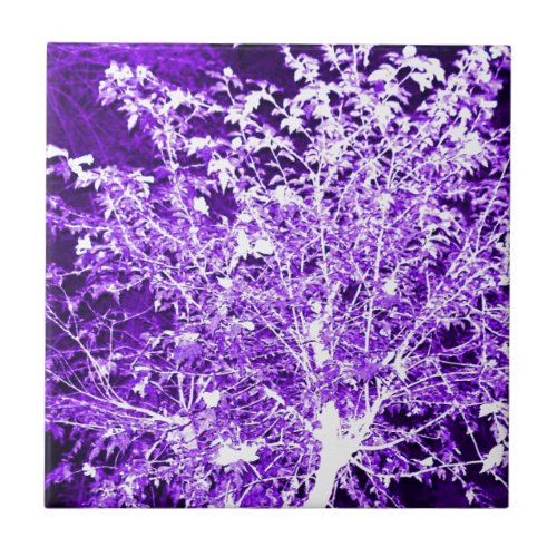 Purple Violet Abstract Tree Branches Tile