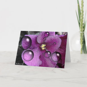 Purple Violet Blank Greeting Card