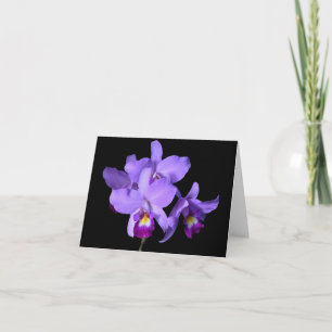 Purple Violet Eggplant Orchids Greeting Note Card
