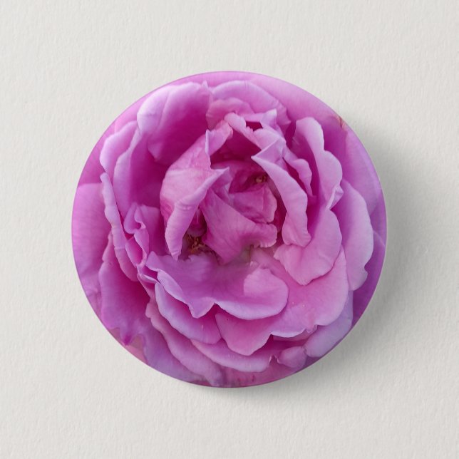 Purple Violet Flower Rose Button (Front)