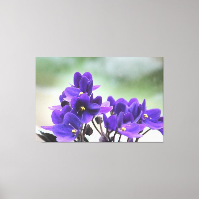 Purple Violets Canvas Print (Front)