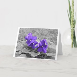 Purple Violets, card