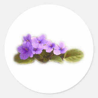 purple violets - customizable classic round sticker