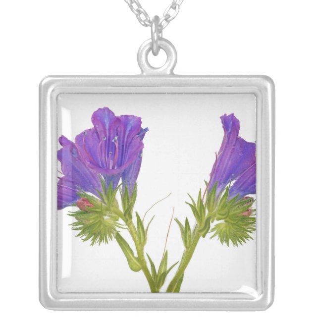Purple vipers bugloss (echium plantagineum) silver plated necklace (Front)