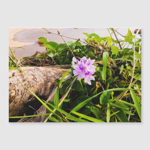 Purple Water Hyacinth River Dam Magnetic Card