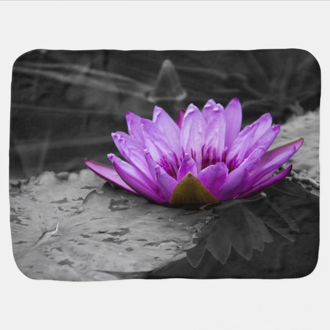 Purple Water Lily 002 Black and White Background Receiving Blanket (Horizontal)