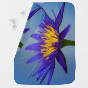 Purple Water Lily Baby Blanket