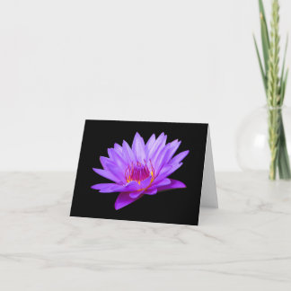 Purple Water Lily Blank Note Greeting Cards