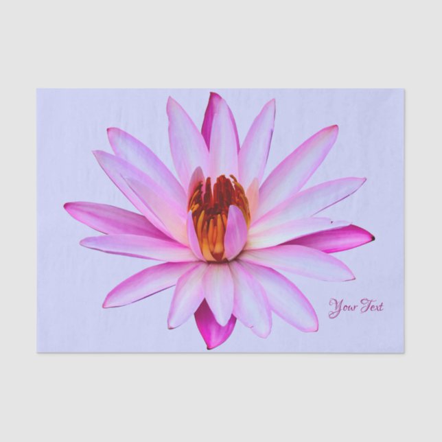 Purple Water Lily Blue Tissue Paper Gift Wrap (Front)