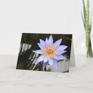 Purple Water Lily Greeting Card