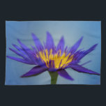 Purple Water Lily Kitchen Towel<br><div class="desc">Purple Water Lily. Design is available on other products.</div>
