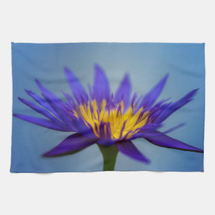 Purple Water Lily Kitchen Towel