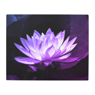 Purple Water Lily Metal Print