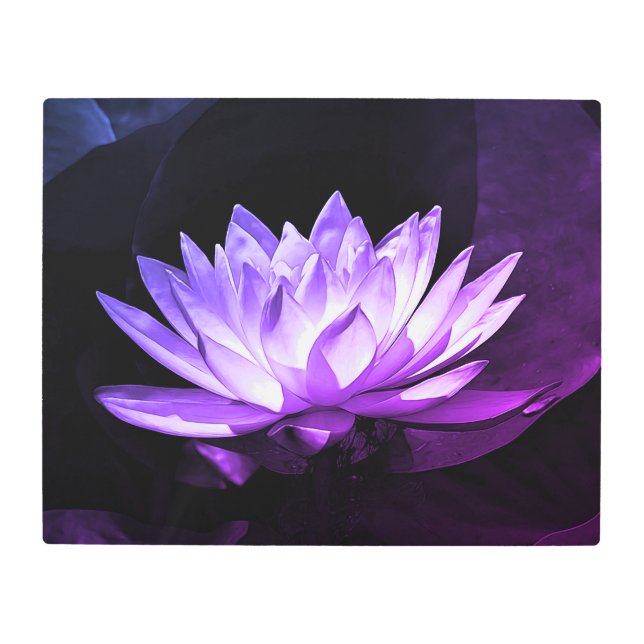 Purple Water Lily Metal Print (Front)