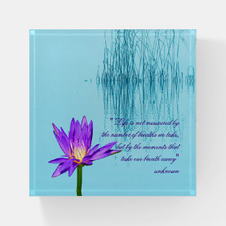 Purple Water Lily Square Glass Paperweight