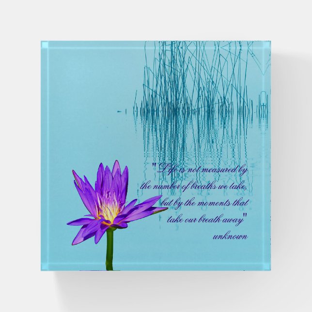 Purple Water Lily Square Glass Paperweight (Front)