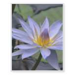 Purple Water Lily Temporary Tattoos