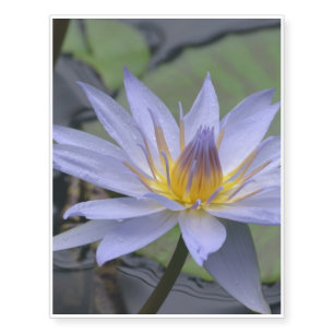 Purple Water Lily Temporary Tattoos