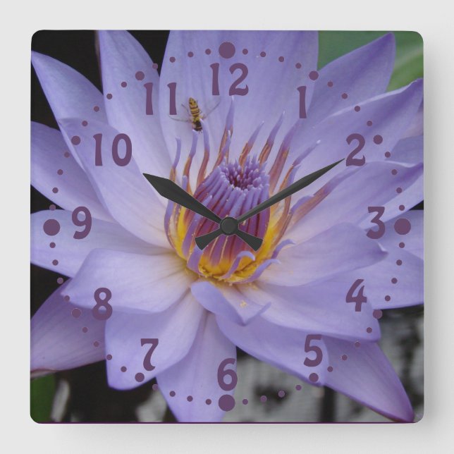 Purple Water Lily Wall Clock with Honeybee (Front)