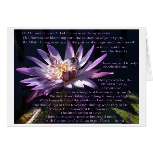 Purple Water Lily with poem by Rumi (Front Horizontal)