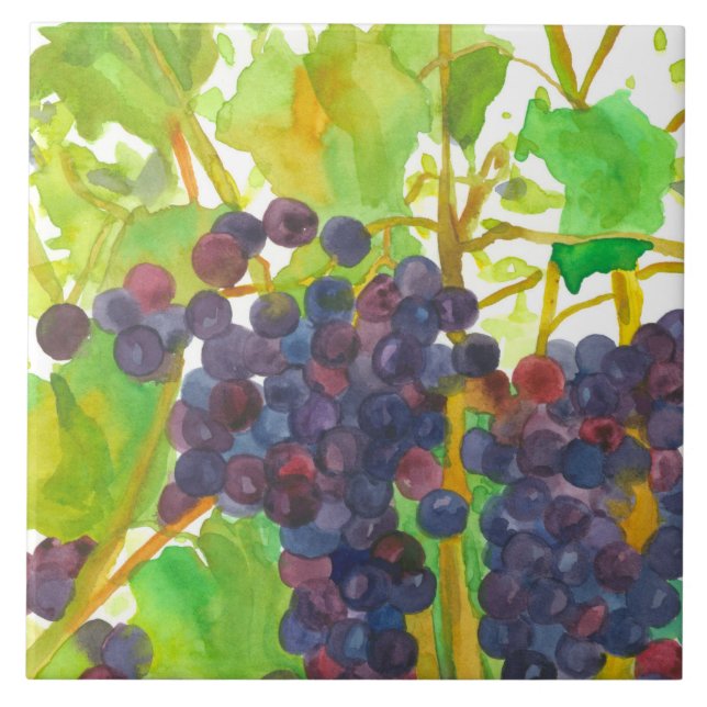 Purple Watercolor Wine Grapes Ceramic Tile (Front)