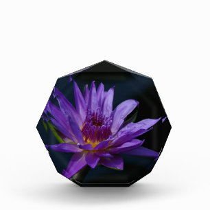 Purple Waterlily Acrylic Award