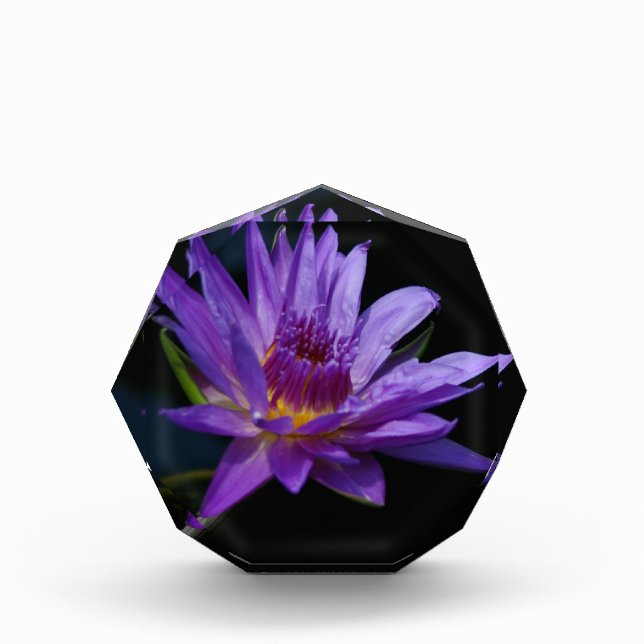 Purple Waterlily Lotus Award (Front)