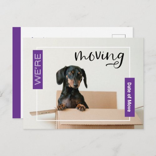 Purple Were Moving Dachshund Dog in Box Postcard