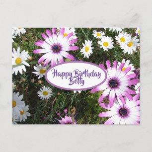 Purple White Daisy Flower Garden Happy Birthday Postcard