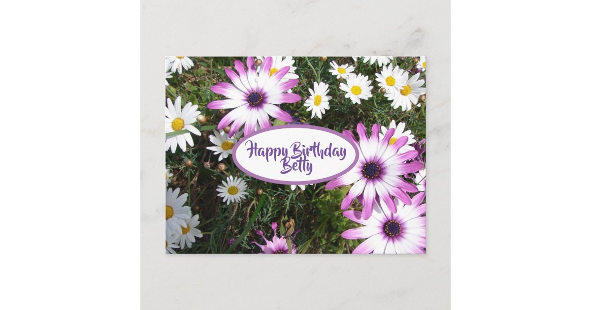 Purple White Daisy Flower Garden Happy Birthday Postcard | Zazzle