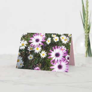 Purple White Daisy Flower Garden Thank You Card