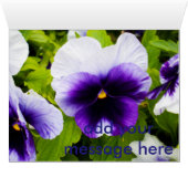 Purple_White_Pansies,_ (Inside Horizontal (Bottom))