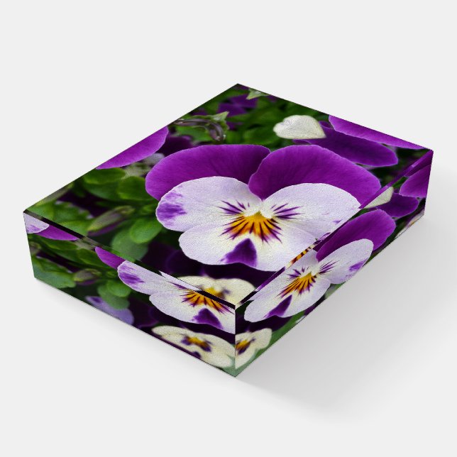 Purple white pansies paperweight (Angled)