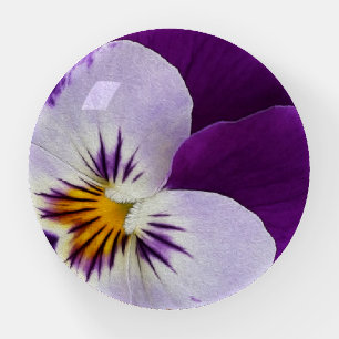 Purple white pansy cutout paperweight