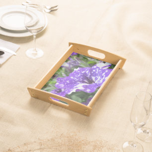 purple, white, petunia, flower, nature, summer, serving tray