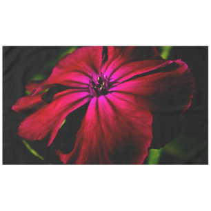 Purple Wild Flower 60x104 tccna Tablecloth